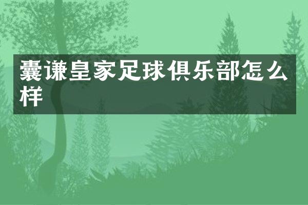 囊谦皇家足球俱乐部怎么样