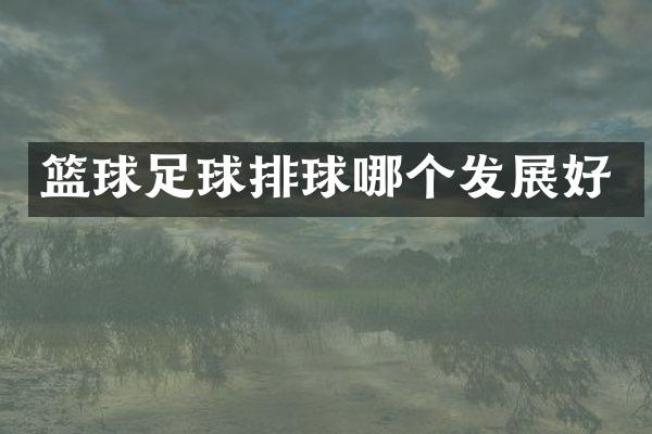 篮球足球排球哪个发展好