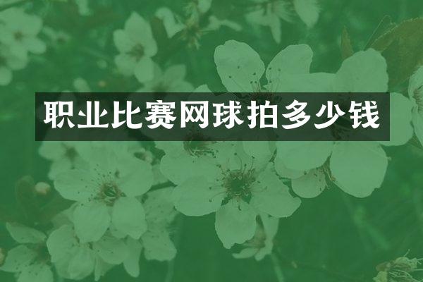 职业比赛网球拍多少钱