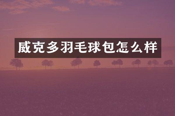 多羽毛球包怎么样