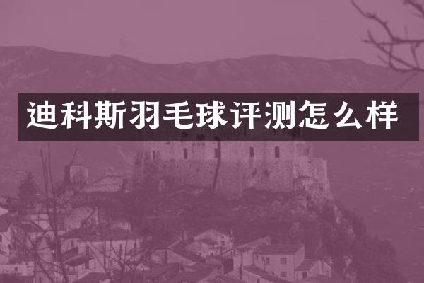 迪科斯羽毛球评测怎么样