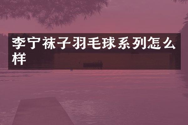 李宁袜子羽毛球系列怎么样