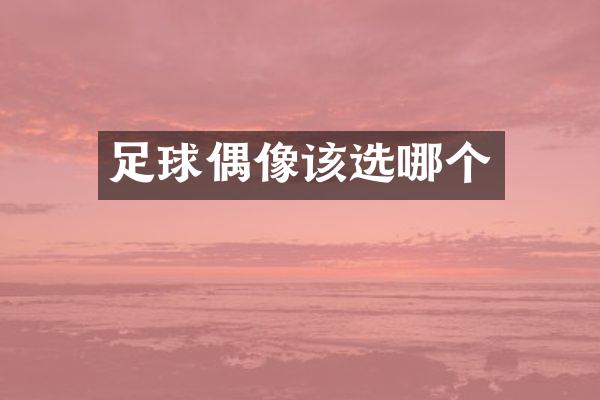 足球偶像该选哪个