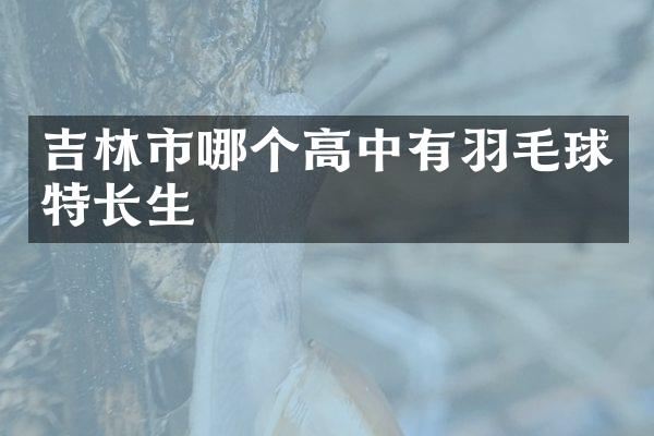 吉林市哪个高中有羽毛球特长生