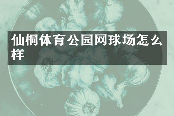 仙桐体育公园网球场怎么样