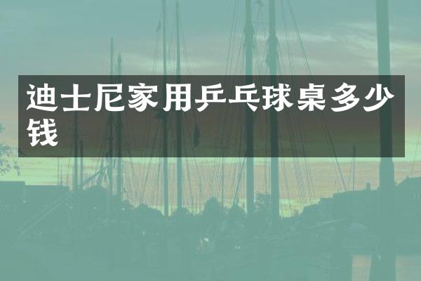迪士尼家用乒乓球桌多少钱