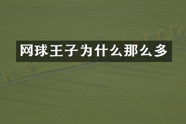 网球王子为什么那么多
