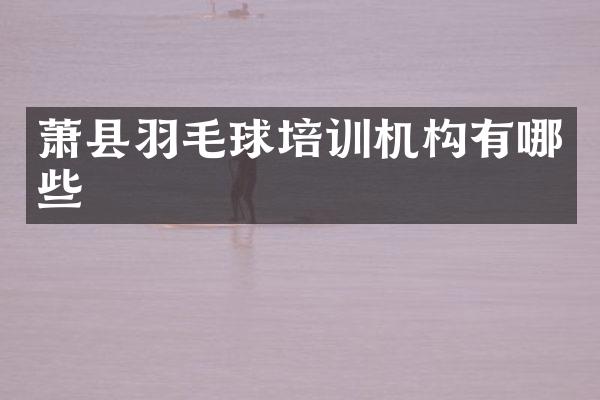 萧县羽毛球培训机构有哪些