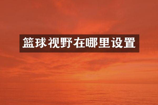 篮球视野在哪里设置