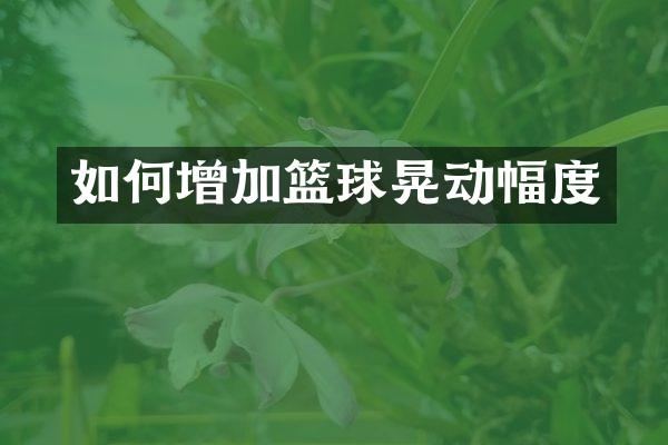 如何增加篮球晃动幅度