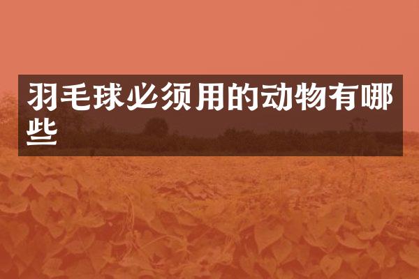 羽毛球必须用的动物有哪些