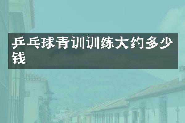 乒乓球青训训练大约多少钱