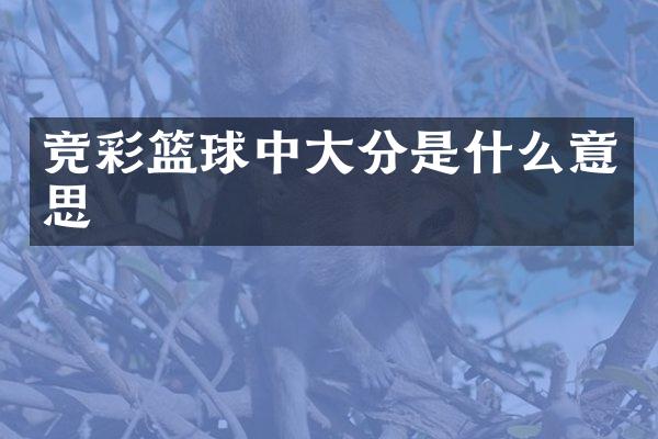 竞彩篮球中大分是什么意思