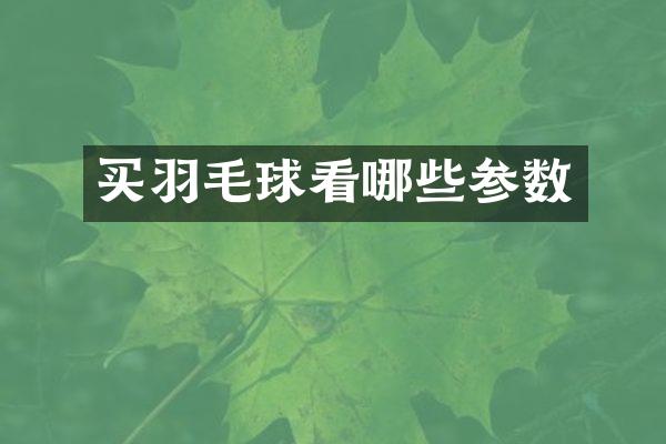 买羽毛球看哪些参数