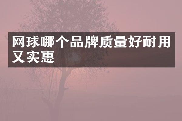 网球哪个品牌质量好耐用又实惠