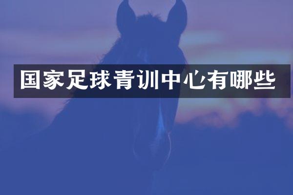 国家足球青训中心有哪些