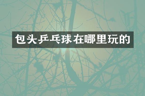 包头乒乓球在哪里玩的