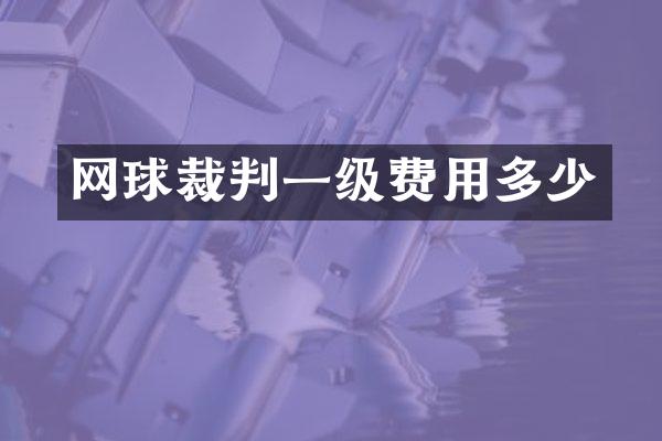 网球裁判一级费用多少