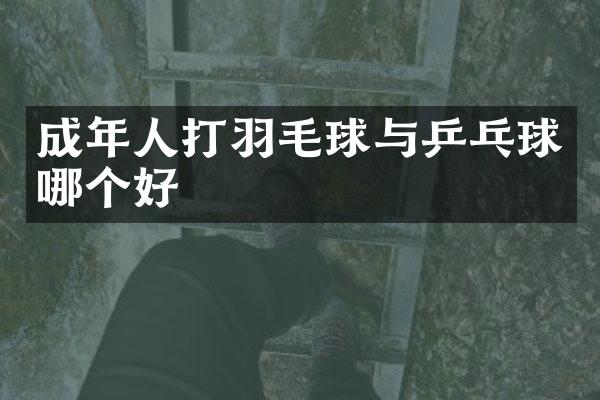 成年人打羽毛球与乒乓球哪个好