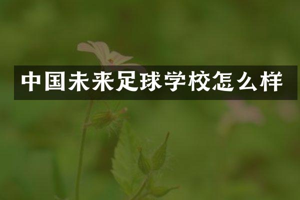 中国未来足球学校怎么样