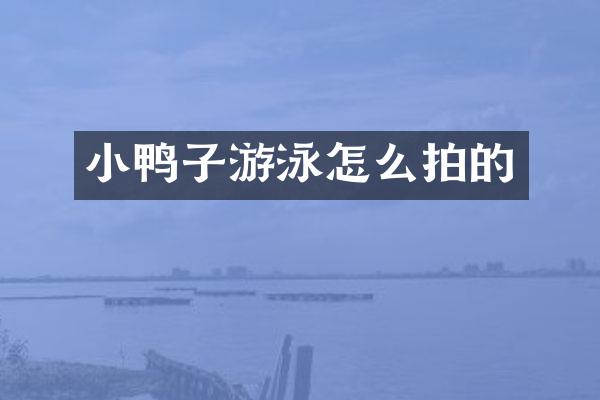 小鸭子游泳怎么拍的