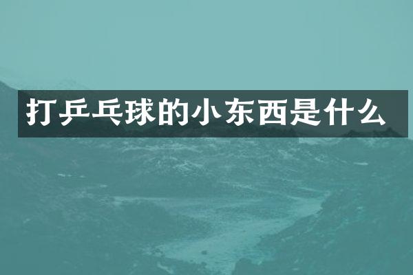 打乒乓球的小东西是什么