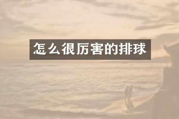 怎么很厉害的排球