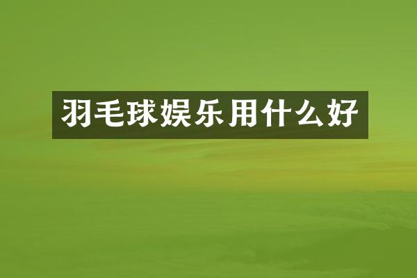 羽毛球娱乐用什么好
