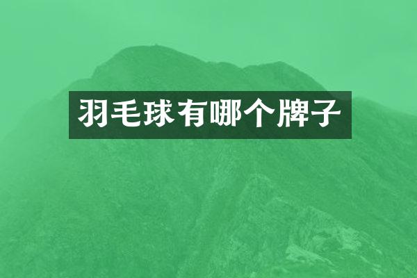 羽毛球有哪个牌子