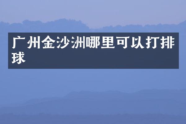 广州金沙洲哪里可以打排球