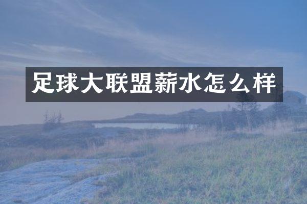 足球大联盟薪水怎么样