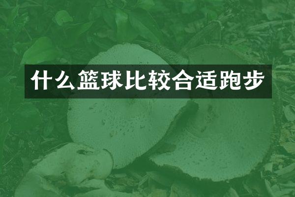 什么篮球比较合适跑步