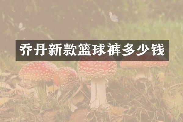乔丹新款篮球裤多少钱