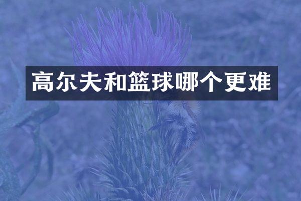 高尔夫和篮球哪个更难