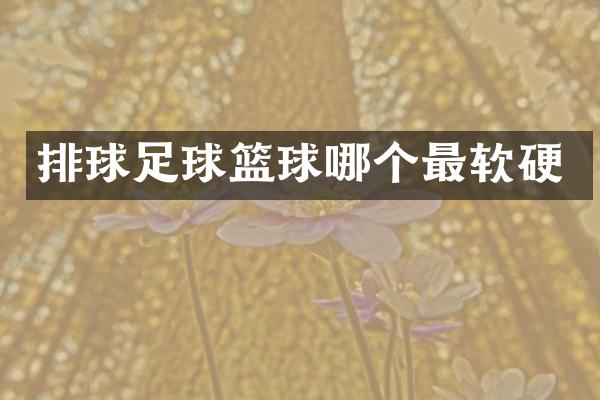 排球足球篮球哪个最软硬
