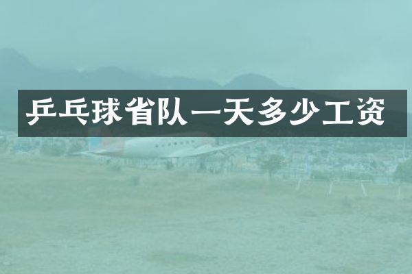 乒乓球省队一天多少工资