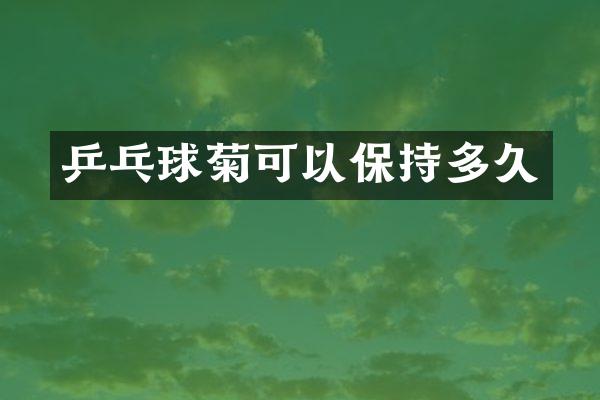 乒乓球菊可以保持多久