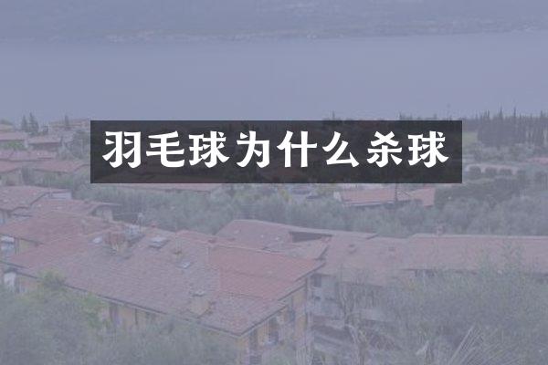 羽毛球为什么杀球