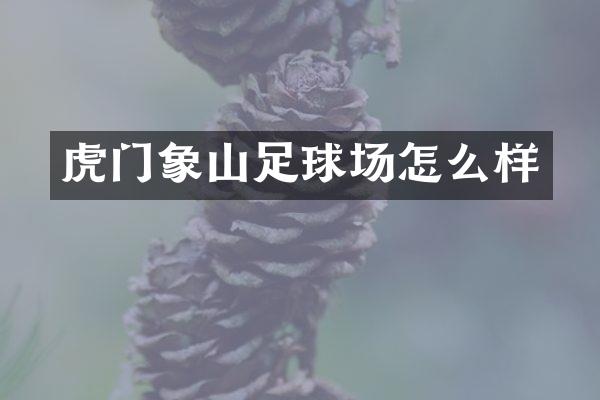 虎门象山足球场怎么样