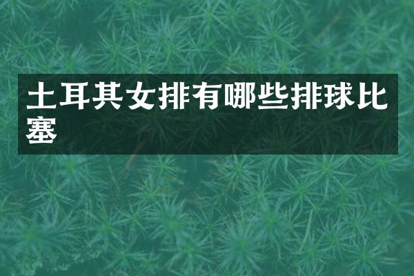 土耳其女排有哪些排球比塞