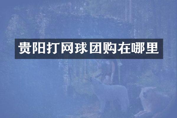 贵阳打网球团购在哪里