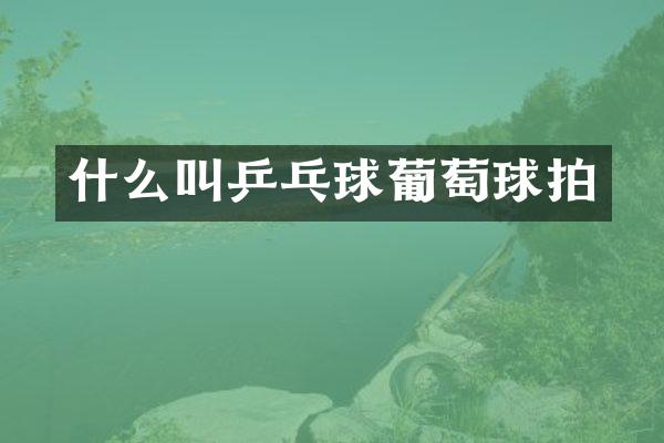 什么叫乒乓球葡萄球拍