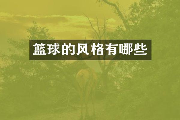 篮球的风格有哪些