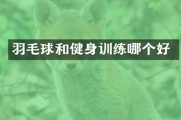 羽毛球和健身训练哪个好