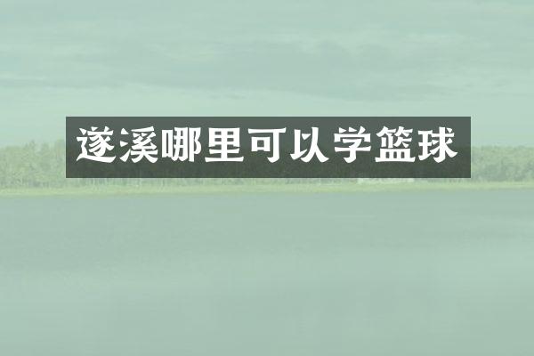 遂溪哪里可以学篮球