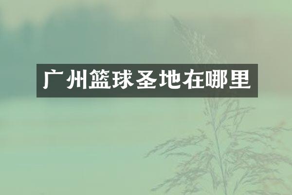 广州篮球圣地在哪里