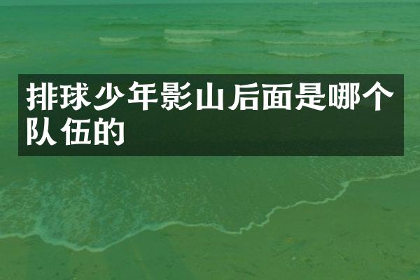 排球少年影山后面是哪个队伍的