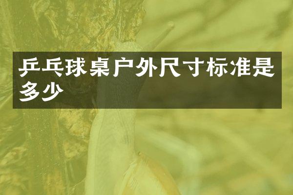 乒乓球桌户外尺寸标准是多少