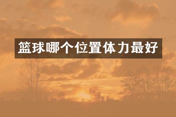 篮球哪个位置体力最好