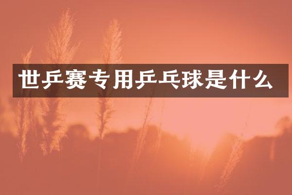 世乒赛专用乒乓球是什么
